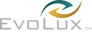 EvoLux Logo mit zwei Pfeilen